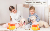 Intelligent Automatic Pet Feeder
