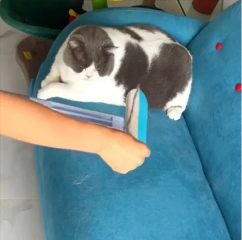 4-in-1 Pet Hair & Screen Cleaning Brush